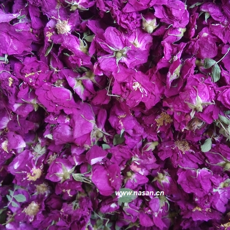 Why Airflow Control Matters in Industrial Flower Drying Operations?
